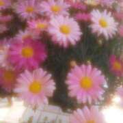 ヒメ日記 2025/04/25 17:36 投稿 ゆきこ ギン妻パラダイス 和歌山店