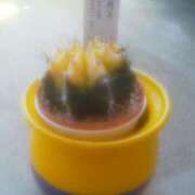 ヒメ日記 2025/04/27 14:04 投稿 ゆきこ ギン妻パラダイス 和歌山店