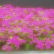 ヒメ日記 2025/05/03 15:08 投稿 ゆきこ ギン妻パラダイス 和歌山店