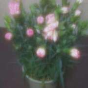 ヒメ日記 2025/05/12 08:58 投稿 ゆきこ ギン妻パラダイス 和歌山店