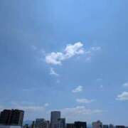 ヒメ日記 2025/11/15 14:37 投稿 ゆきこ ギン妻パラダイス 和歌山店