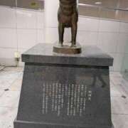 ヒメ日記 2025/12/14 13:11 投稿 ゆきこ ギン妻パラダイス 和歌山店