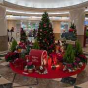 ヒメ日記 2025/12/20 13:53 投稿 ゆきこ ギン妻パラダイス 和歌山店