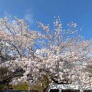 ゆきこ おはようございます(⁠.⁠ ⁠❛⁠ ⁠ᴗ⁠ ⁠❛⁠.⁠) ギン妻パラダイス 和歌山店