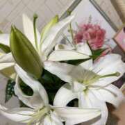 ヒメ日記 2025/07/29 23:04 投稿 桜井　りな エテルナ京都