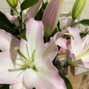 ヒメ日記 2025/08/07 06:09 投稿 桜井　りな エテルナ京都