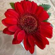 ヒメ日記 2025/09/23 20:12 投稿 桜井　りな エテルナ京都