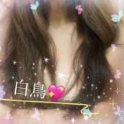 ヒメ日記 2025/06/04 07:36 投稿 白鳥真理 こあくまな熟女たち岩国店(KOAKUMAグループ)