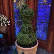 ヒメ日記 2024/12/13 12:05 投稿 かすみ カワサキEROTIC（ソープランド）