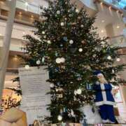 ヒメ日記 2024/12/25 10:01 投稿 かすみ カワサキEROTIC（ソープランド）