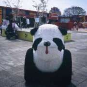 ヒメ日記 2025/01/27 11:56 投稿 かすみ カワサキEROTIC（ソープランド）