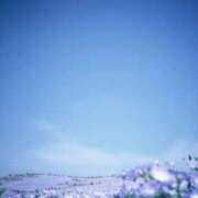 ヒメ日記 2025/02/15 07:30 投稿 かすみ カワサキEROTIC（ソープランド）