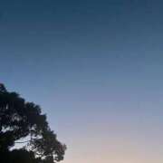 ヒメ日記 2025/02/24 08:00 投稿 かすみ カワサキEROTIC（ソープランド）