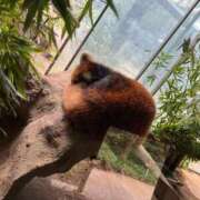 ヒメ日記 2025/02/25 22:31 投稿 かすみ カワサキEROTIC（ソープランド）