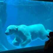 ヒメ日記 2025/03/13 06:30 投稿 かすみ カワサキEROTIC（ソープランド）