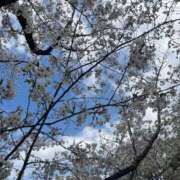 ヒメ日記 2025/04/11 04:30 投稿 かすみ カワサキEROTIC（ソープランド）