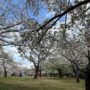 ヒメ日記 2025/04/18 16:01 投稿 かすみ カワサキEROTIC（ソープランド）