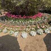 ヒメ日記 2025/04/19 08:30 投稿 かすみ カワサキEROTIC（ソープランド）