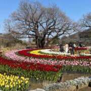 ヒメ日記 2025/04/25 13:19 投稿 かすみ カワサキEROTIC（ソープランド）