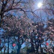 ヒメ日記 2025/04/28 08:41 投稿 かすみ カワサキEROTIC（ソープランド）