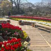 ヒメ日記 2025/05/04 08:01 投稿 かすみ カワサキEROTIC（ソープランド）