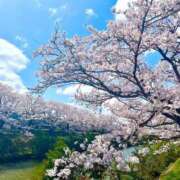 ヒメ日記 2025/05/09 06:15 投稿 かすみ カワサキEROTIC（ソープランド）