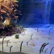 ヒメ日記 2025/05/10 08:47 投稿 かすみ カワサキEROTIC（ソープランド）