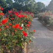 ヒメ日記 2025/06/27 06:00 投稿 かすみ カワサキEROTIC（ソープランド）