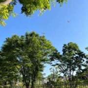 ヒメ日記 2025/07/19 06:00 投稿 かすみ カワサキEROTIC（ソープランド）