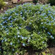 ヒメ日記 2025/07/20 06:15 投稿 かすみ カワサキEROTIC（ソープランド）