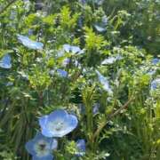 ヒメ日記 2025/08/01 08:00 投稿 かすみ カワサキEROTIC（ソープランド）