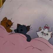 ヒメ日記 2025/09/20 21:30 投稿 かすみ カワサキEROTIC（ソープランド）