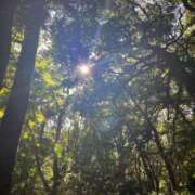 ヒメ日記 2025/09/25 11:10 投稿 かすみ カワサキEROTIC（ソープランド）