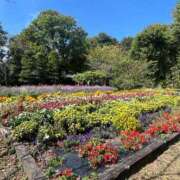 ヒメ日記 2025/10/05 06:00 投稿 かすみ カワサキEROTIC（ソープランド）