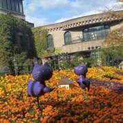 ヒメ日記 2025/11/14 06:00 投稿 かすみ カワサキEROTIC（ソープランド）