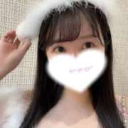 ヒメ日記 2025/12/20 09:30 投稿 かすみ カワサキEROTIC（ソープランド）