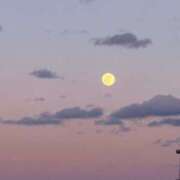 ヒメ日記 2026/02/05 21:01 投稿 かすみ カワサキEROTIC（ソープランド）