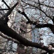ヒメ日記 2026/04/04 06:30 投稿 かすみ カワサキEROTIC（ソープランド）
