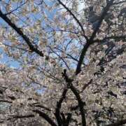 ヒメ日記 2025/04/06 10:21 投稿 なおみ 成田人妻花壇