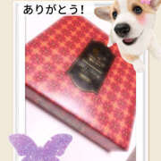 ヒメ日記 2025/11/26 18:48 投稿 エリサ 恋愛マット同好会