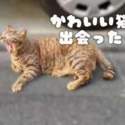 ヒメ日記 2025/05/13 18:23 投稿 いろは SOPHIA（ソフィア）