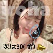 ヒメ日記 2025/05/28 09:03 投稿 いろは SOPHIA（ソフィア）