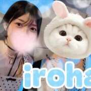 いろは 差し上げますっ♪🫱🏻 SOPHIA（ソフィア）