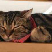 ヒメ日記 2025/11/08 11:08 投稿 田辺 艶妻