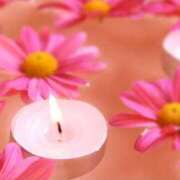 田辺 到着しました☆ 艶妻