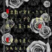 ヒメ日記 2023/05/25 13:04 投稿 紲(きずな) 黒薔薇