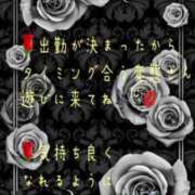 ヒメ日記 2023/06/27 17:01 投稿 紲(きずな) 黒薔薇