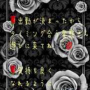 ヒメ日記 2023/10/19 20:16 投稿 紲(きずな) 黒薔薇