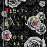 ヒメ日記 2023/12/08 18:32 投稿 紲(きずな) 黒薔薇