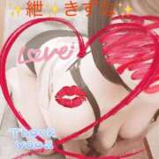 ヒメ日記 2025/12/25 12:00 投稿 紲(きずな) 黒薔薇